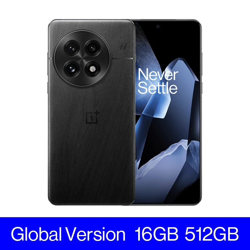 OnePlus 13