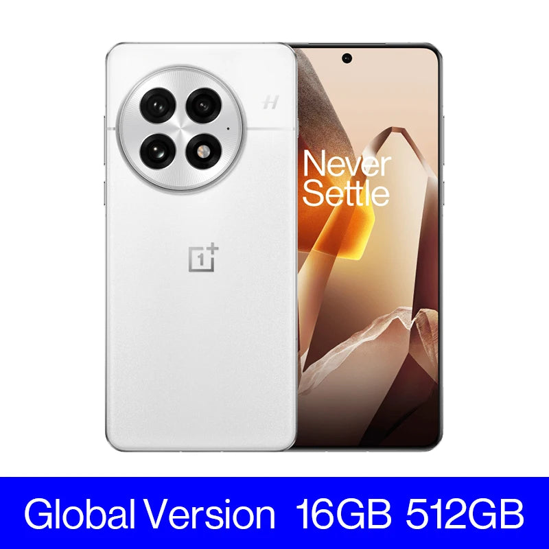 OnePlus 13