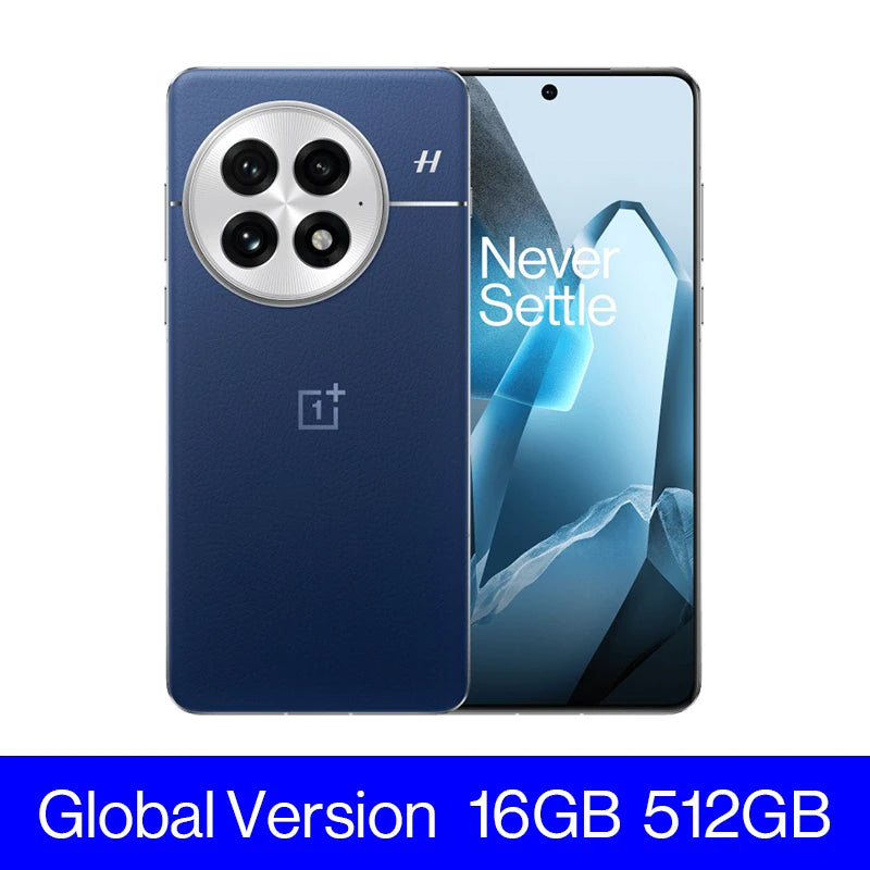 OnePlus 13
