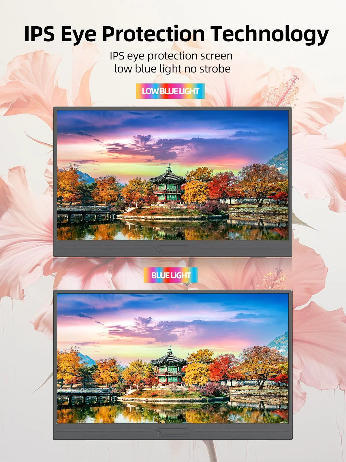 ZSUS 15.6-Inch Portable Monitor
