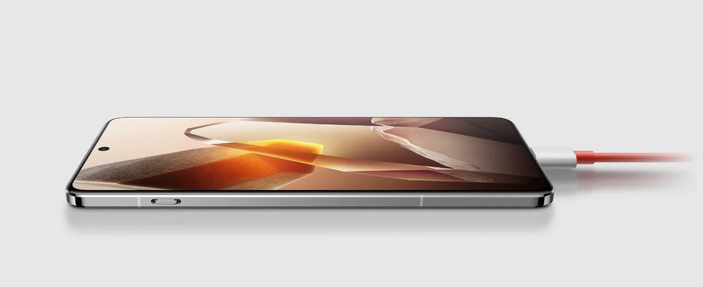 OnePlus 13